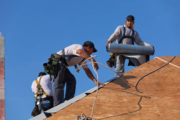 Best Commercial Roof Installation  in Adrian, MN