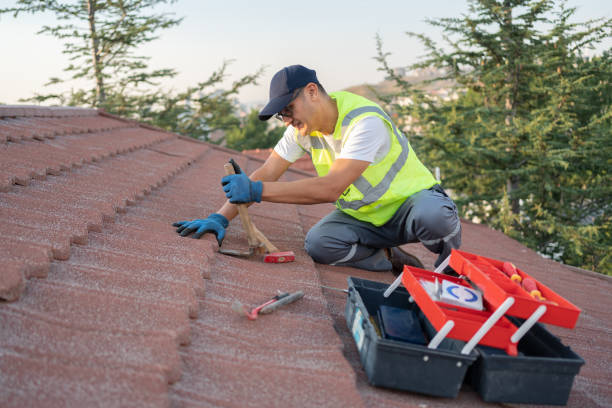 Professional Roofing Contractor in Adrian, MN